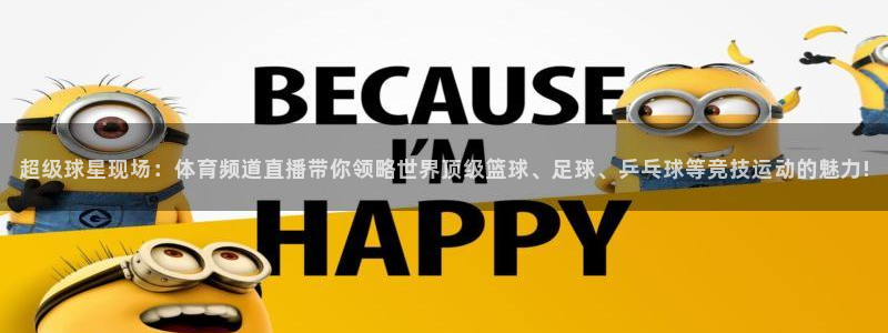 玩球体育app下载：超级球星现场：体育频道直播带你领略世界顶级篮球、足球、乒乓球等竞技运动的魅力!