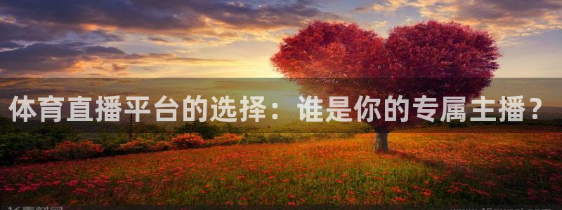 玩球直播 官网：体育直播平台的选择：谁是你的专属主播？