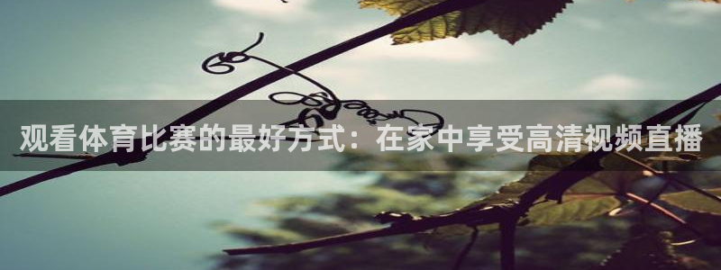 玩球直播观看：观看体育比赛的最好方式：在家中享受高清视频直播