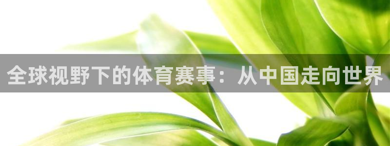 玩球怎么玩：全球视野下的体育赛事：从中国走向世界