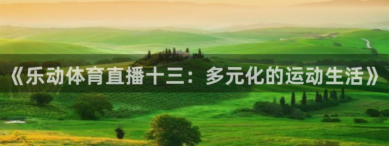 玩球直播ios版：《乐动体育直播十三：多元化的运动生活》