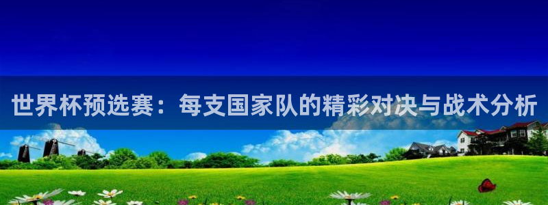 玩球直播免费高清在线：世界杯预选赛：每支国家队的精彩对决与战术分析