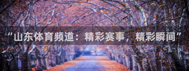 玩球app直播