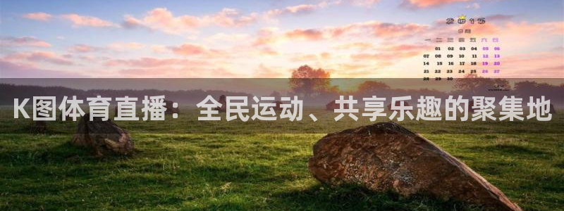 玩球直播观看