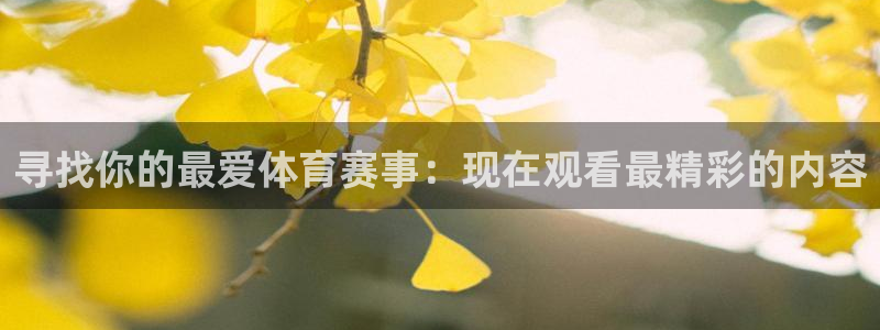 玩球直播免费高清在线：寻找你的最爱体育赛事：现在观看最精彩的内容